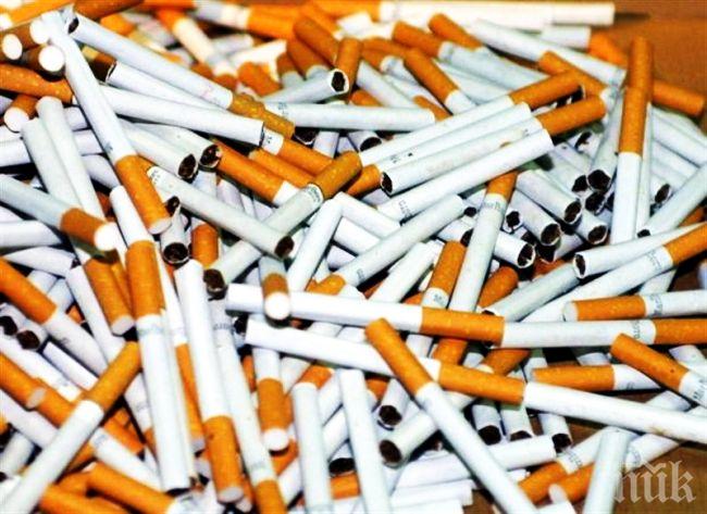 Близо 700 кутии с контрабандни цигари открити в магазин и къща в Искър