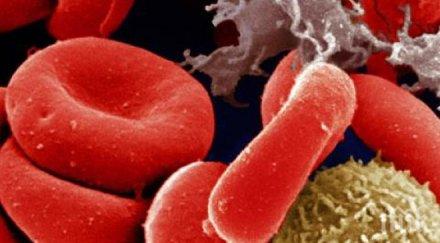 световен ден хемофилията