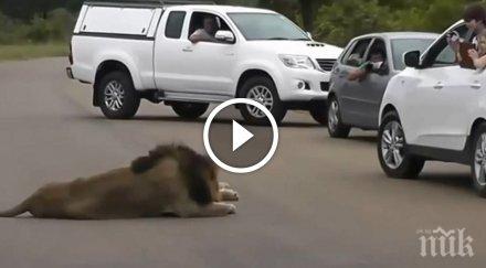 видеото разчувства хората цял свят