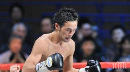 шинзуке яманака защити титлата световен шампион категория петел