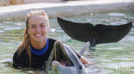 делфин става розов ядоса тъжен