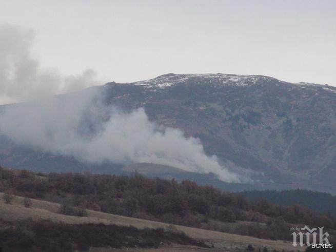Голям пожар обхвана вековни гори на границата ни с Македония