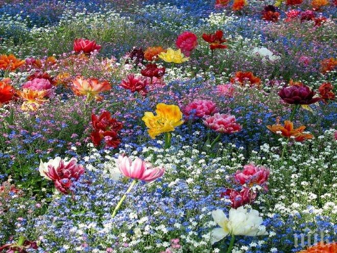 Уникално точно! Японски хороскоп разкрива истинския ви характер