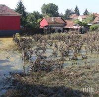 Мизия продължава да бедства, земята е съсипана
