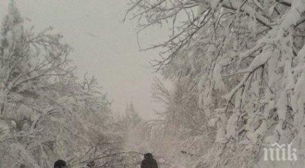 невиждани щети родопите снеговете