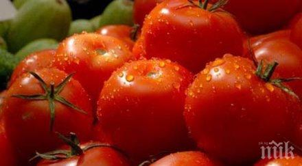 български домати едро