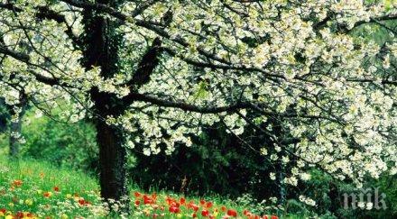 жегата пролет счупи световните рекорди