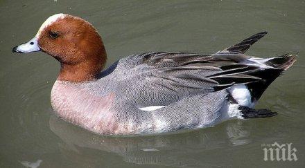 възстановиха строения времето фердинанд екопарк езерата