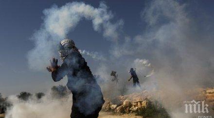 босна миналото привличаше джихадисти изнася