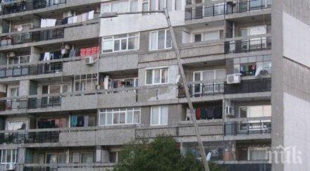 стълб убиец строши нечия глава институциите бездействат