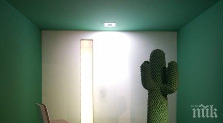 джордж буш младши рисува кактуси