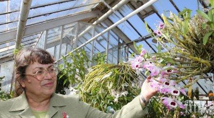 спец бан алергиите причинени цветя