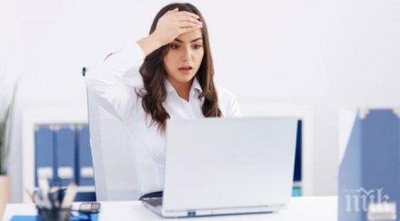 студенти британски университет почерпят опит български фирми