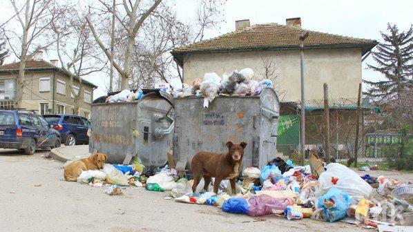 Квартал във Видин остана без кофи за боклук
