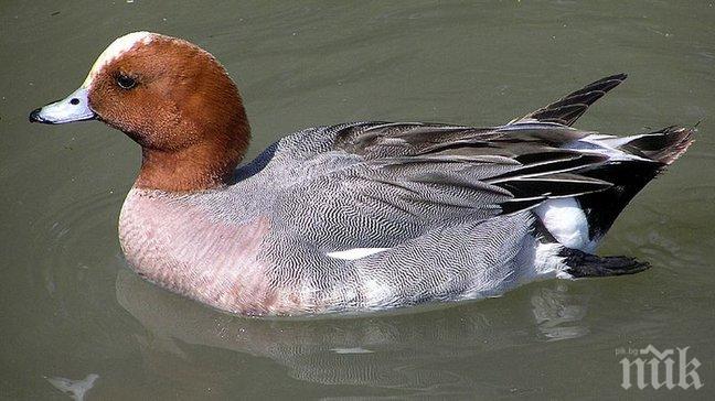 Възстановиха строения по времето на Фердинанд екопарк Езерата 