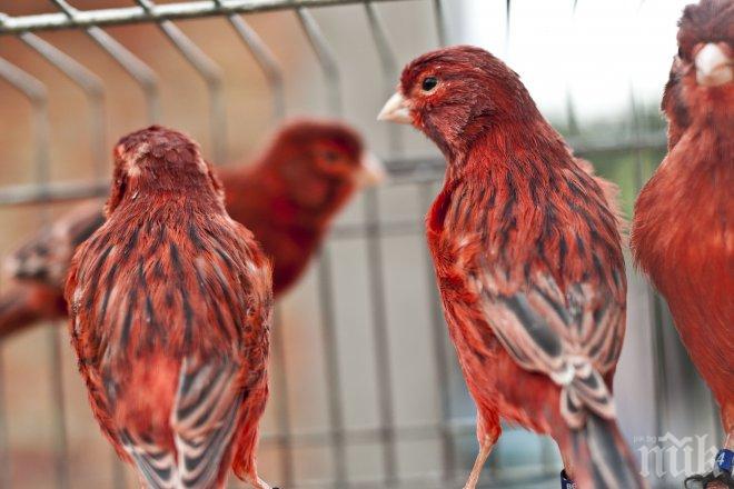 Жена изпрати 600 лева на фалшиви посредници за работа в чужбина