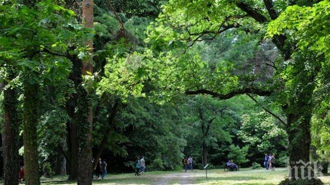 Гори заемат 58% от територията на Пазарджишко
