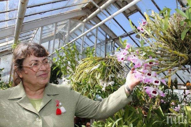 Спец от БАН: Алергиите, причинени от цветя, са много малко