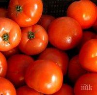Купуваме 10 пъти по-евтини домати в Румъния
