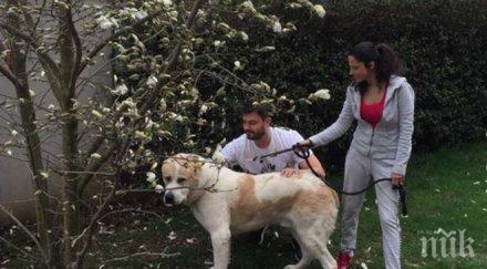 бареков показа магнолиите снимки