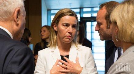 могерини предотвратяването имигрантските жертви дълг европа