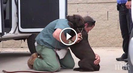 затворник прегръща куче каквото случи взеха разтупка сърцето