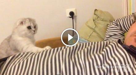 прави котето неговият човек заспал просто удивително