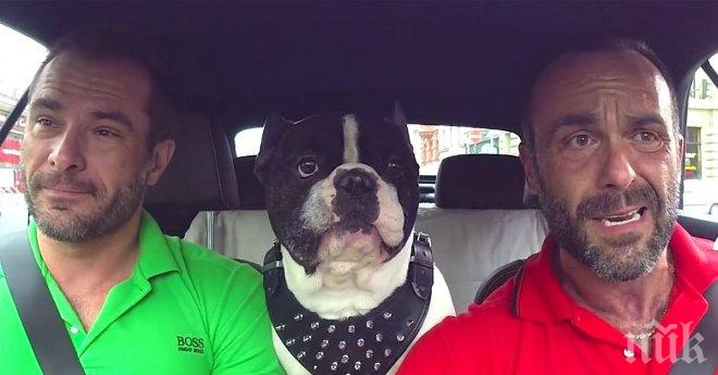 Те сложиха камера в колата, защото иначе никой нямаше да им повярва какво може да прави това куче!