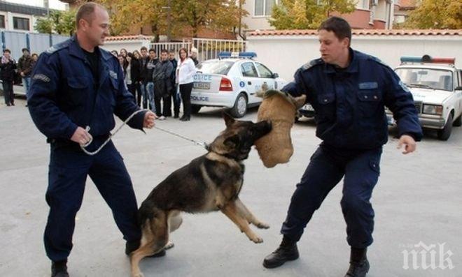 Демонстрации със служебни кучета за Детската полицейска академия в Хасково