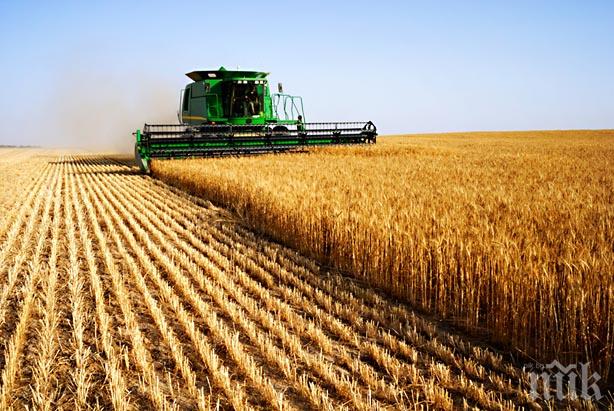 Цената на земеделската земя расте с 15%