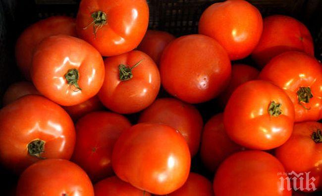 Купуваме 10 пъти по-евтини домати в Румъния