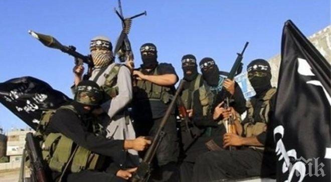 „Ислямска държава“ обяви война на „Талибан“