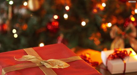 завзеха берковица вършец чипровци празниците