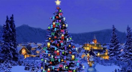 празниците търсени дизайнерите коледни елхи