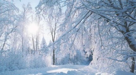 сняг глад път сменят общински кмет