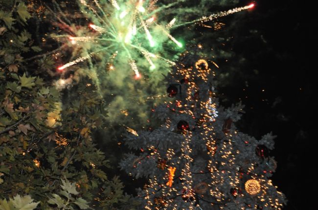 Гигантска елха се срути в столицата на Киргизстан