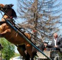 Мистерията край Разград се заплете! Конят на изчезналия дядо се върна, открили ченето му?