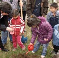 Садят фиданки за Деня на Земята в Перник