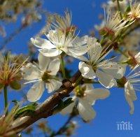 Пролетното лято ни връхлита с нова сила! Слънцето ще грее неуморно, температурите ще се повишат
