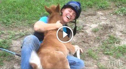 жена просто яздеше докато появи конче искаше