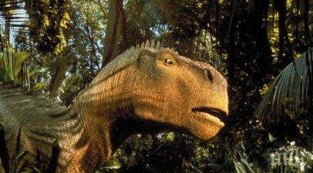 китайският град хеюан държи световният рекорд голям брой яйца динозаври