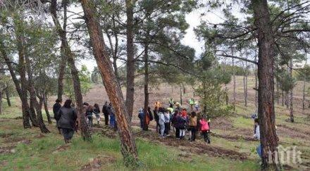 община бургас засади хил дръвчета благунчета