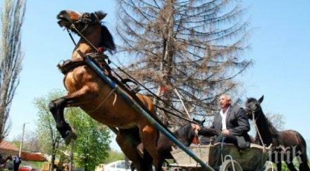 мистерията разград заплете конят изчезналия дядо върна открили ченето