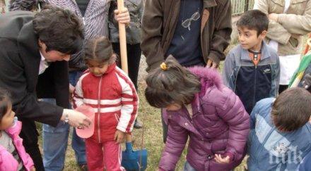 садят фиданки деня земята перник