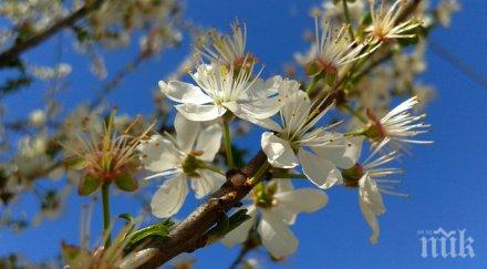 пролетното лято връхлита нова сила слънцето грее неуморно температурите повишат