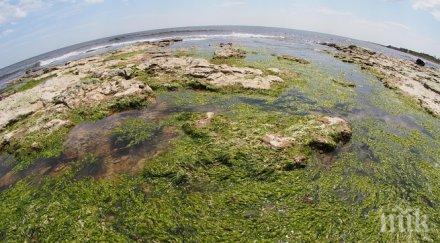 денят земята багри природата