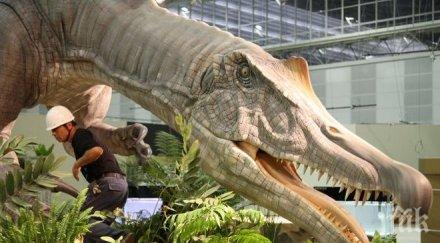 откриха динозавърски яйца