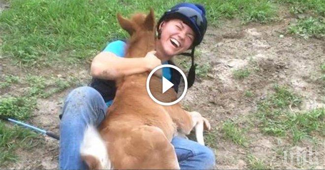 Тази жена просто си яздеше, докато не се появи малко конче, което искаше...