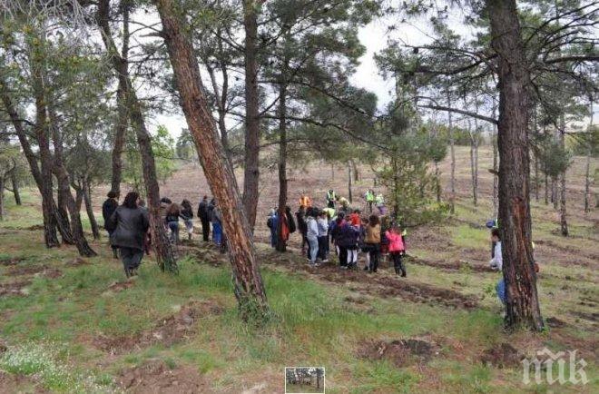 Обявиха за защитени пет вековни дървета