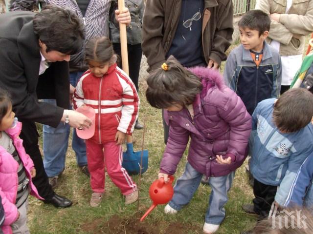 Садят фиданки за Деня на Земята в Перник
